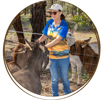 Resources for donkey owners