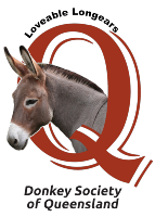 Donkey Society Queensland